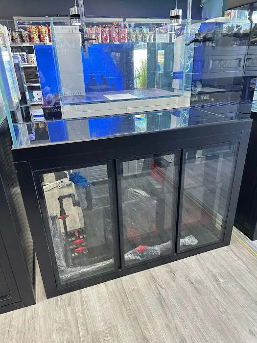 J&Y Aquarium Picture 10