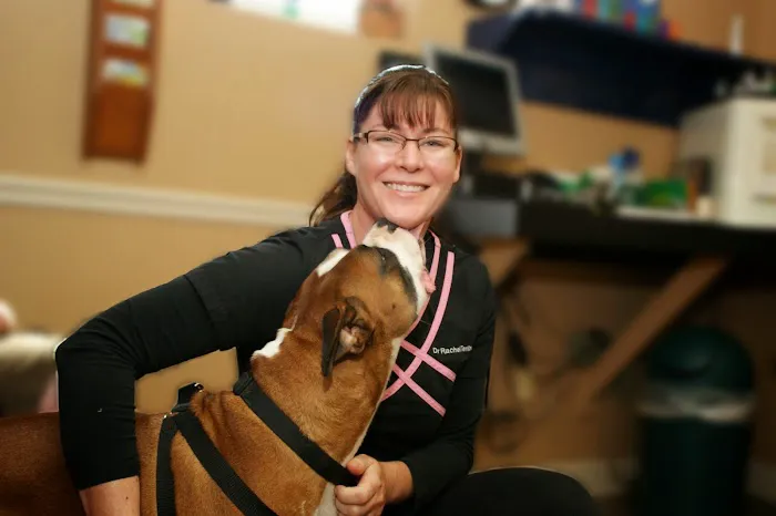 Lewis Veterinary Clinic Picture 1