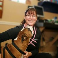 Lewis Veterinary Clinic ico