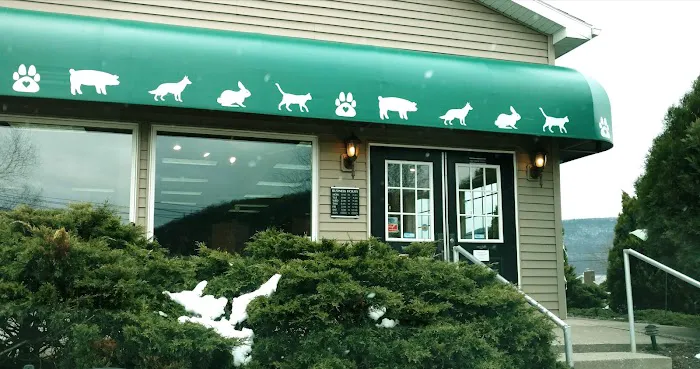 Lewis Veterinary Clinic Picture 5