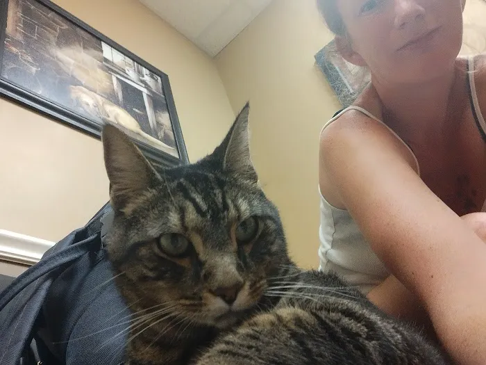Lewis Veterinary Clinic Picture 9