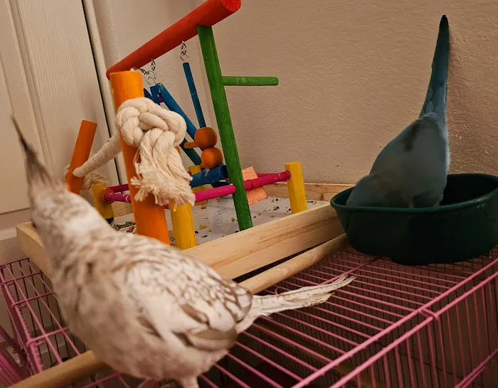 E & J Pets Picture 3