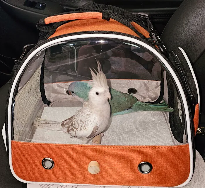 E & J Pets Picture 6