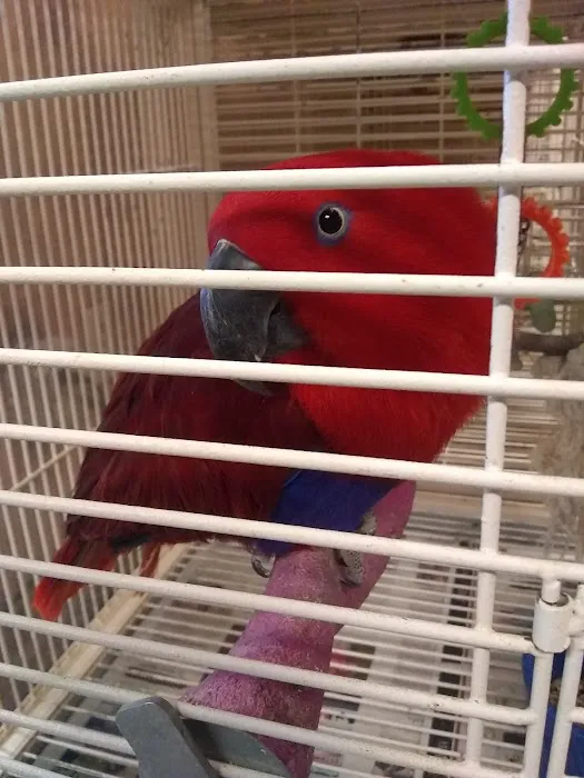E & J Pets Picture 7
