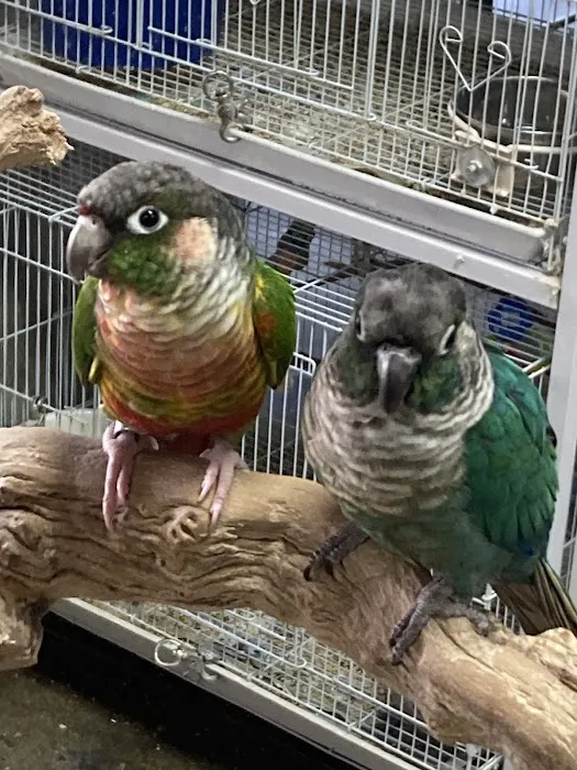 E & J Pets Picture 8
