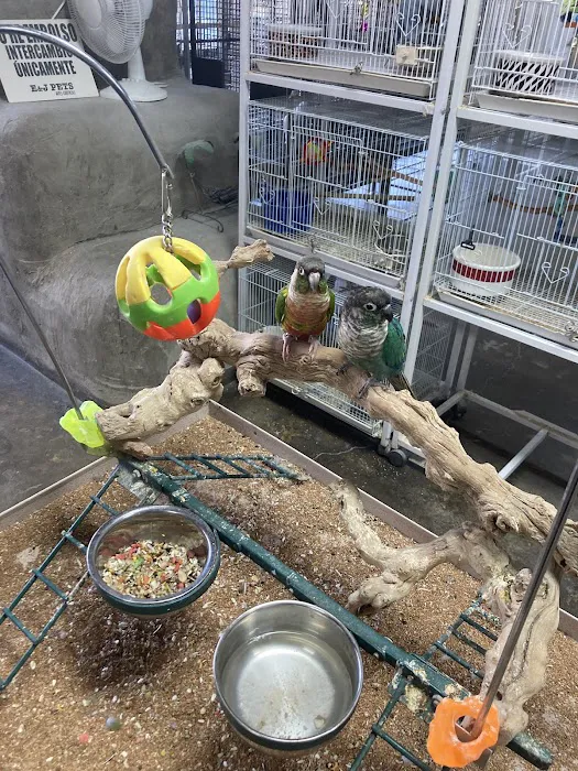 E & J Pets Picture 10