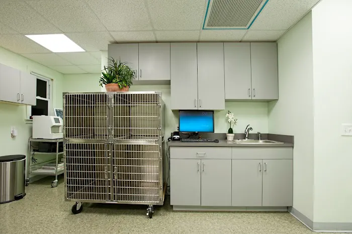 Veterinary Wellness Center of Glen Rock Picture 6