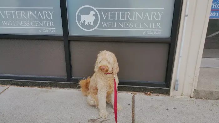 Veterinary Wellness Center of Glen Rock Picture 5