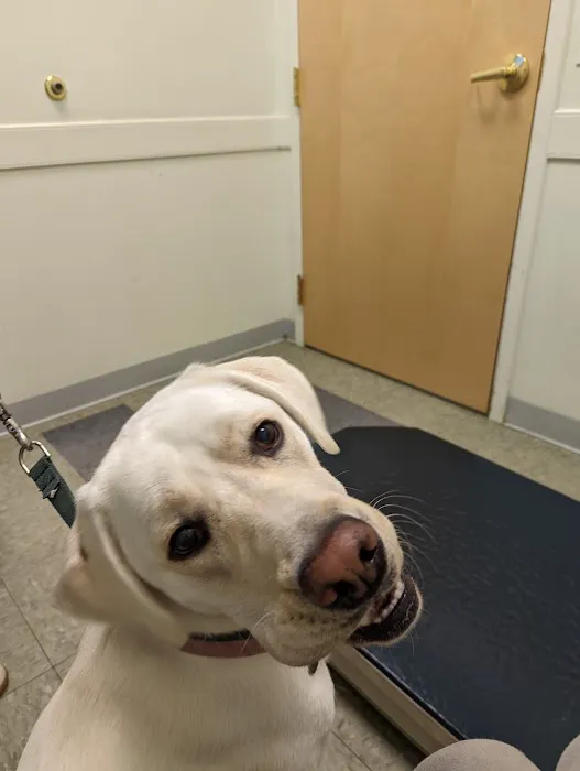 Veterinary Wellness Center of Glen Rock Picture 7