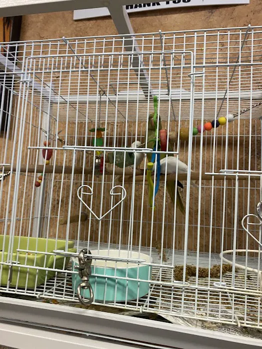 Exotic Birds Picture 2