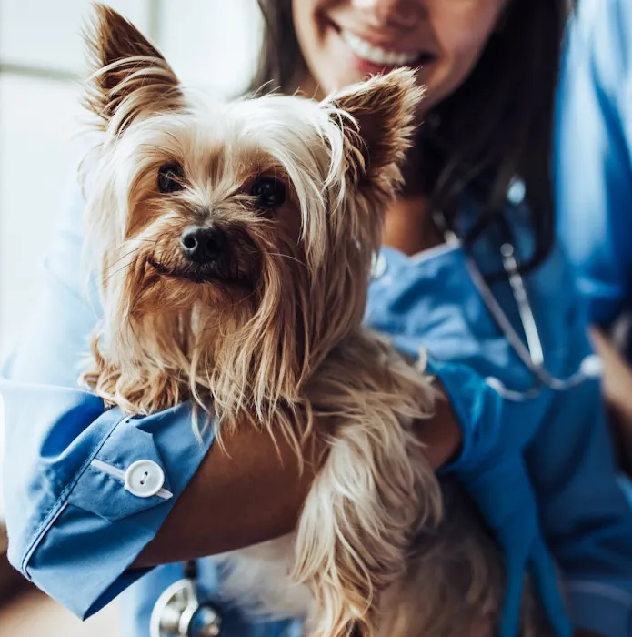Midland Park Veterinary Hospital Picture 7