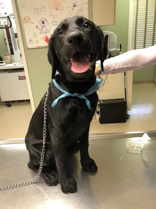 Midland Park Veterinary Hospital Picture 10