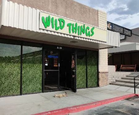 Wild Things