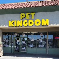 Pet Kingdom ico