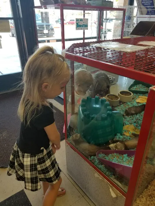 Pet Kingdom Picture 2