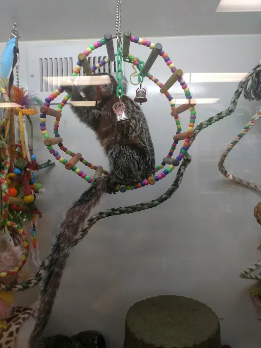 Pet Kingdom Picture 10