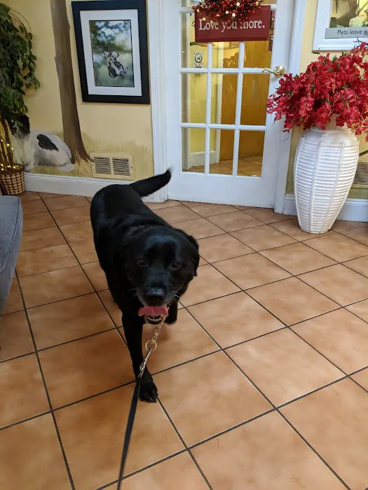 Glen Rock Veterinary Hospital Picture 6