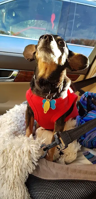 Glen Rock Veterinary Hospital Picture 8