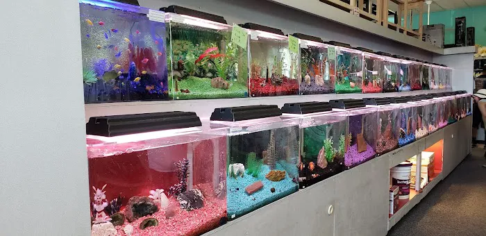 Trop Aquarium Picture 3