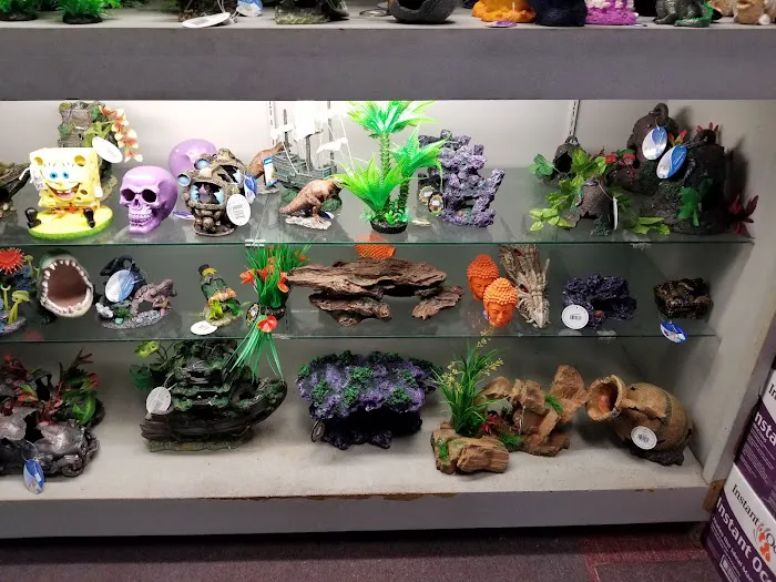 Trop Aquarium Picture 4