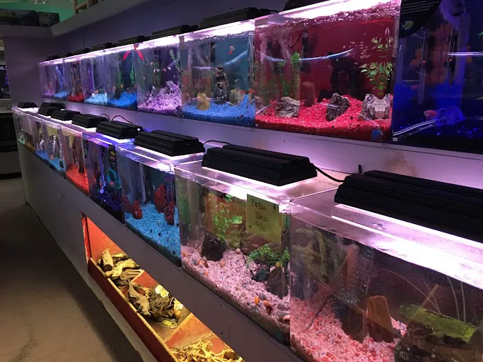 Trop Aquarium Picture 5