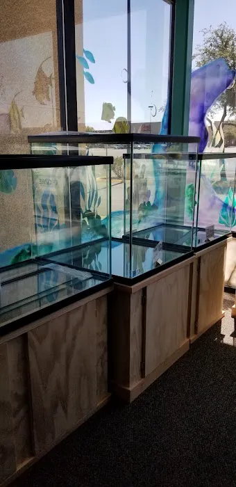 Trop Aquarium Picture 7
