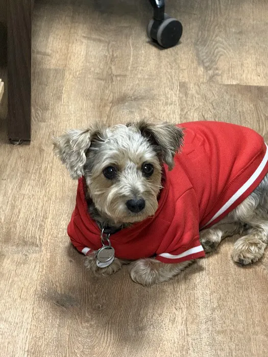 VCA Ridgewood Veterinary Hospital Picture 5