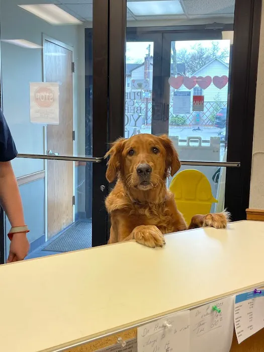 VCA Ridgewood Veterinary Hospital Picture 6