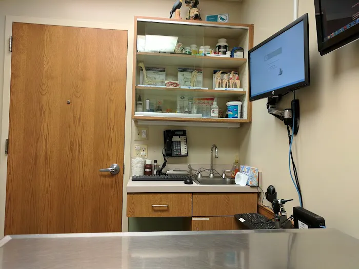 VCA Ridgewood Veterinary Hospital Picture 7