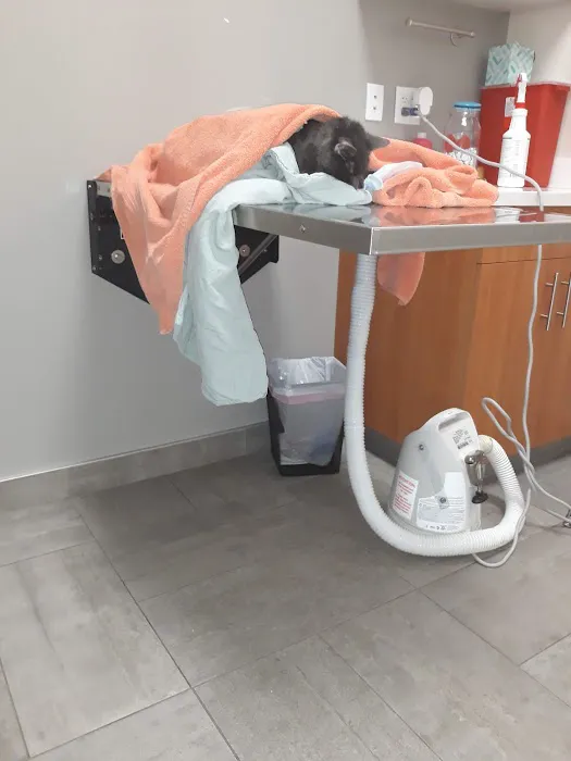 Sova Animal Hospital-Paterson Picture 3
