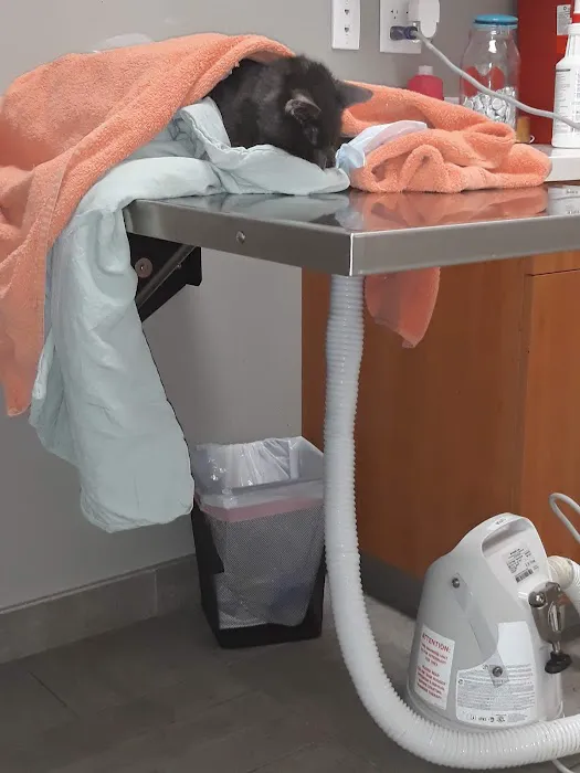 Sova Animal Hospital-Paterson Picture 5