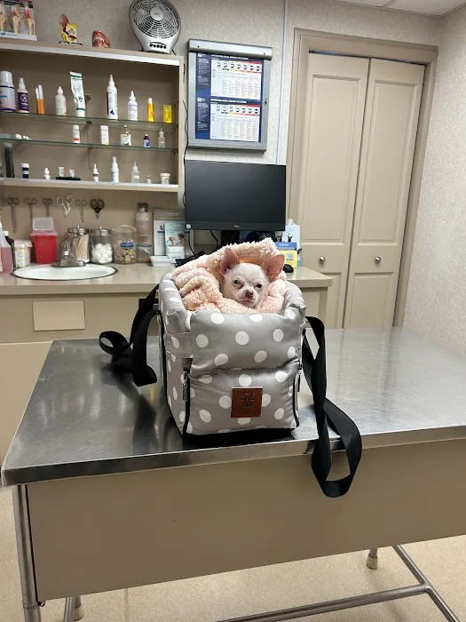 Meisels Animal Hospital Picture 10