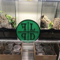Field Life Pets Division ico