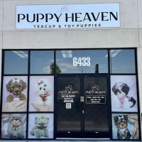 Puppy Heaven - Teacup & Toy Puppies for Sale ico