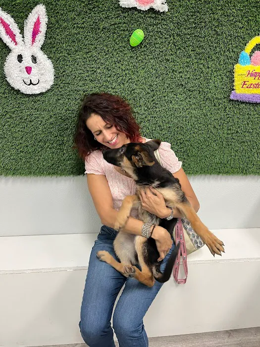 Puppies For Less - Rancho Las Vegas Picture 4