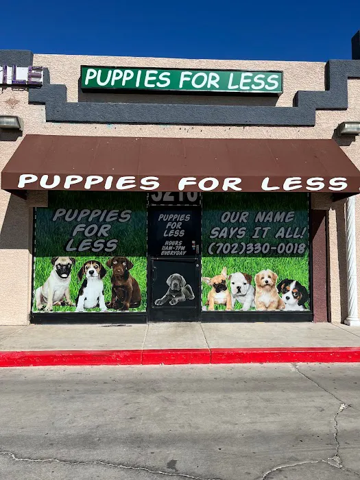 Puppies For Less - Rancho Las Vegas Picture 2