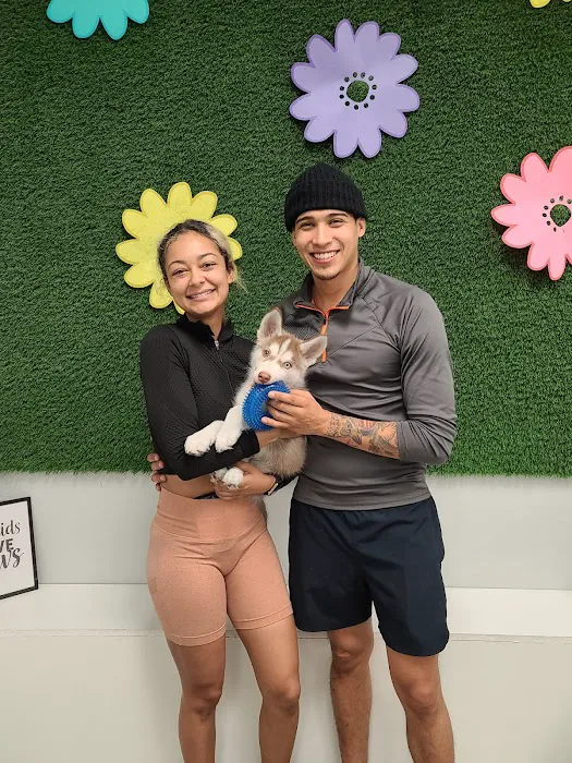 Puppies For Less - Rancho Las Vegas Picture 1