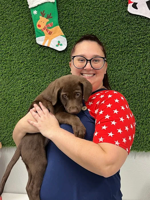 Puppies For Less - Rancho Las Vegas Picture 8