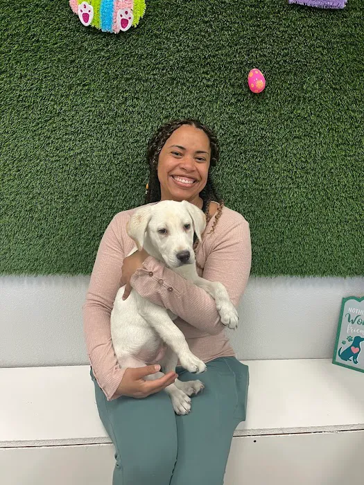 Puppies For Less - Rancho Las Vegas Picture 5