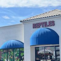 Scales 'N Tails North Las Vegas ico