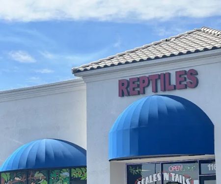 Scales 'N Tails North Las Vegas