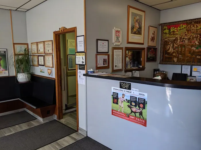 Clifton Dog & Cat Hospital Picture 4