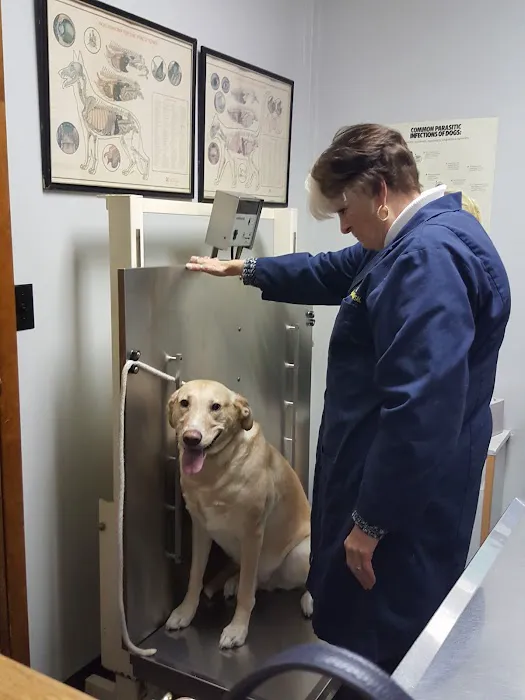 Clifton Dog & Cat Hospital Picture 6