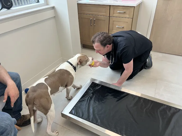 Wyckoff Veterinary Hospital Picture 4