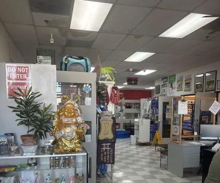 Puppy Boutique Las Vegas