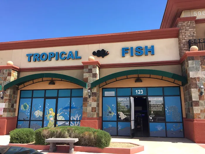 Blue Reef Aquatics Picture 2