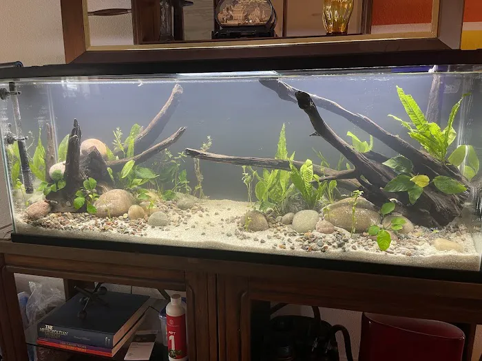 Blue Reef Aquatics Picture 3