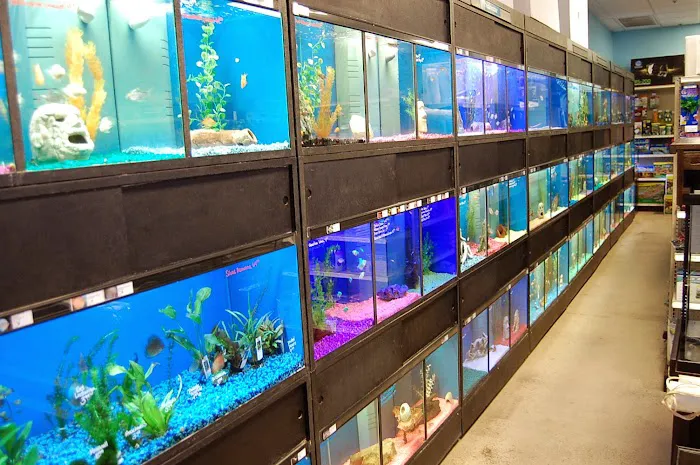 Blue Reef Aquatics Picture 4