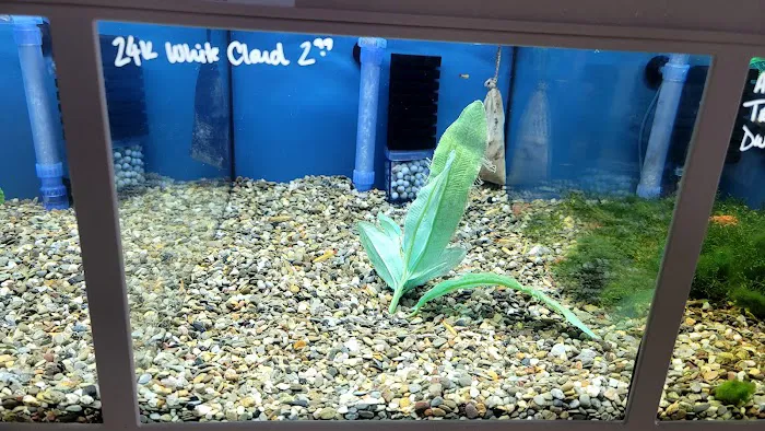 Blue Reef Aquatics Picture 8