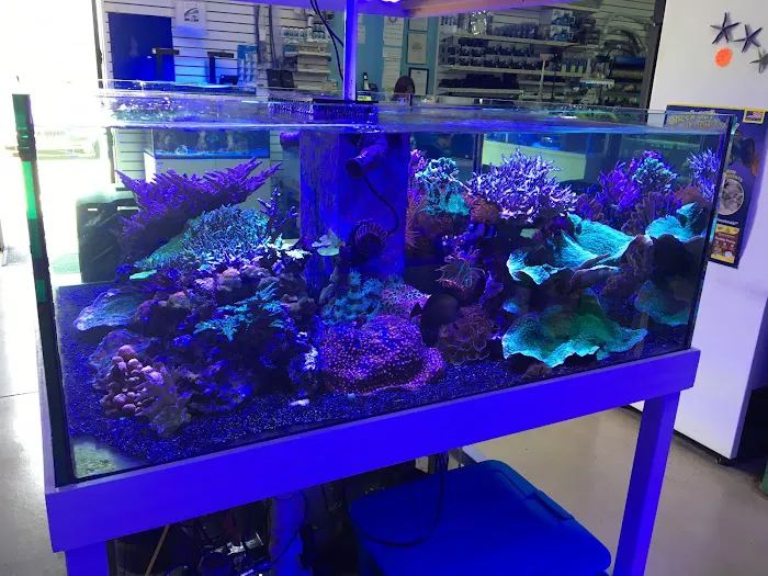 Blue Reef Aquatics Picture 7